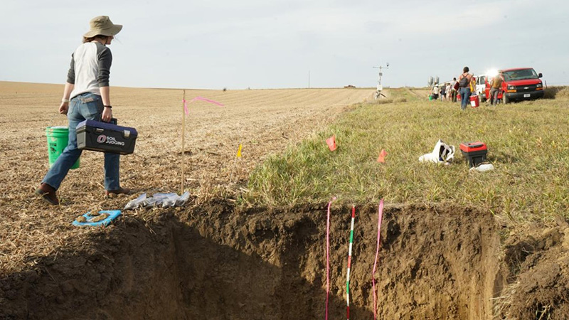 Soil Judging Pit