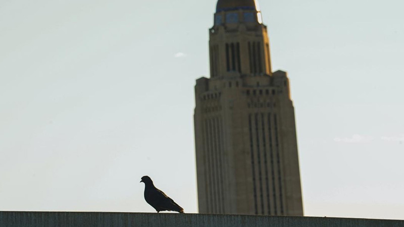 Bird and Capitol
