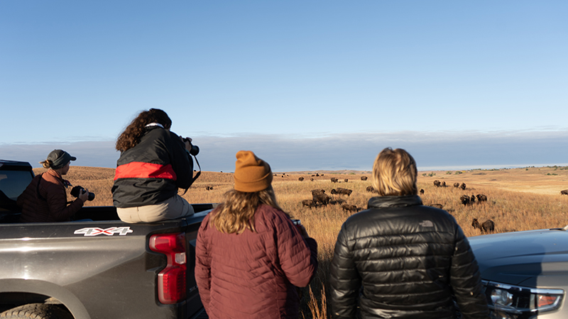 Viewing Bison in distance