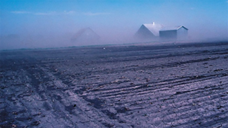 Field with dust