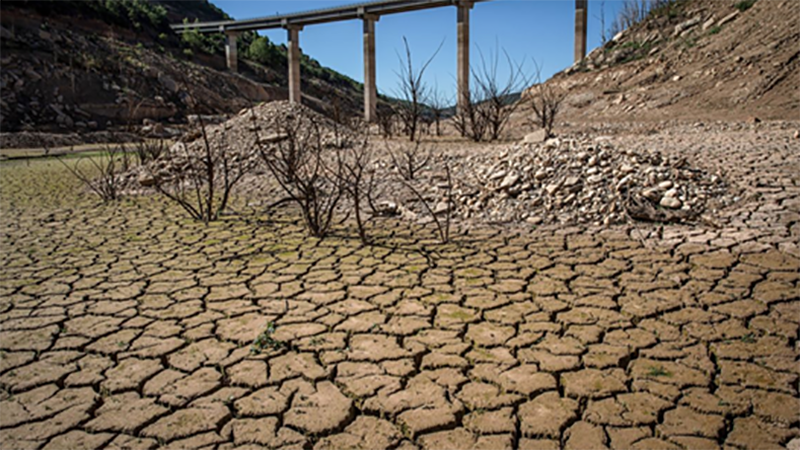 Cracked Earth