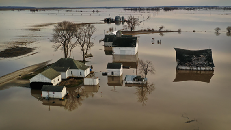 Flooded Farm
