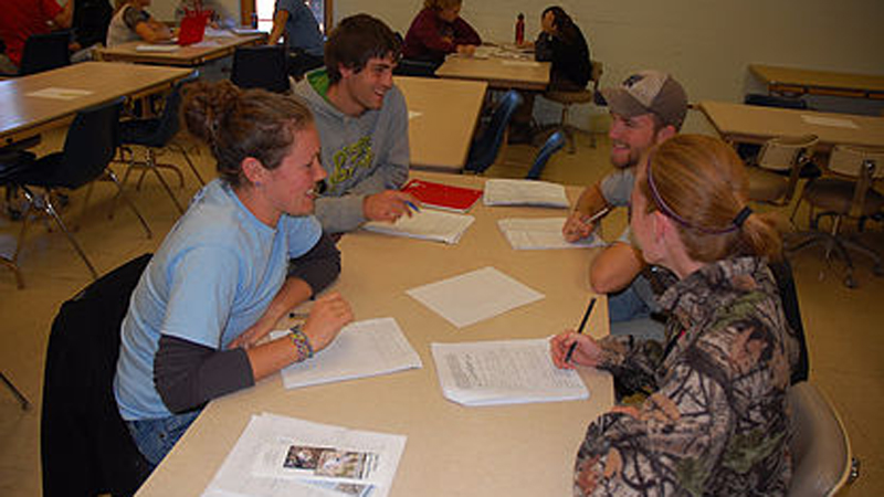 Problem Based Learning