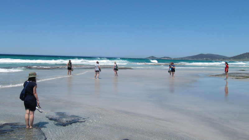 Beach Walk