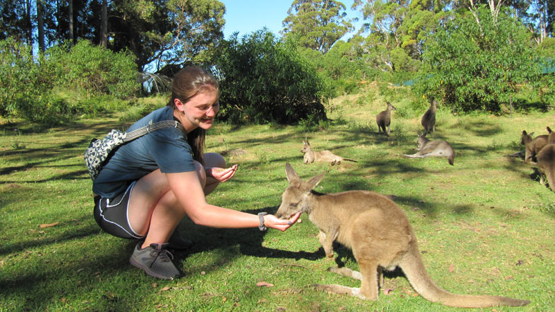 Student and Kanagroo