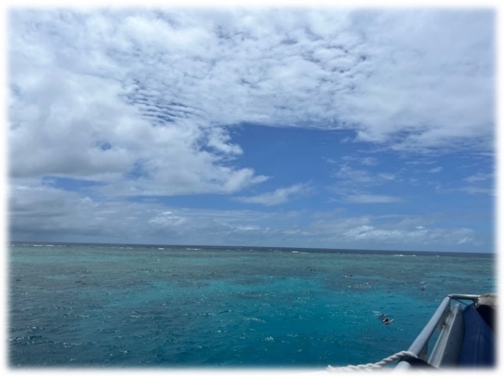 Great Barrier Reef from the surface