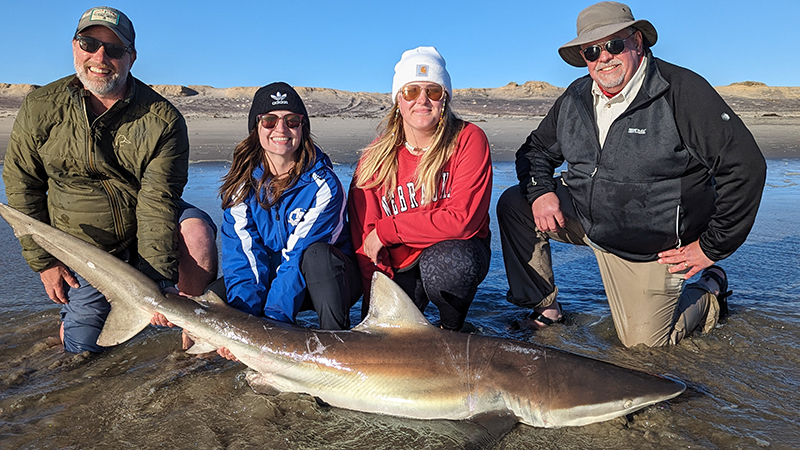 Bronze Whaler caught by Group