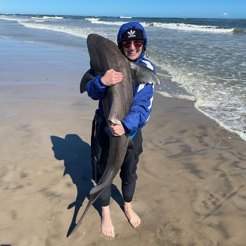 Sheets snuggles a gully shark