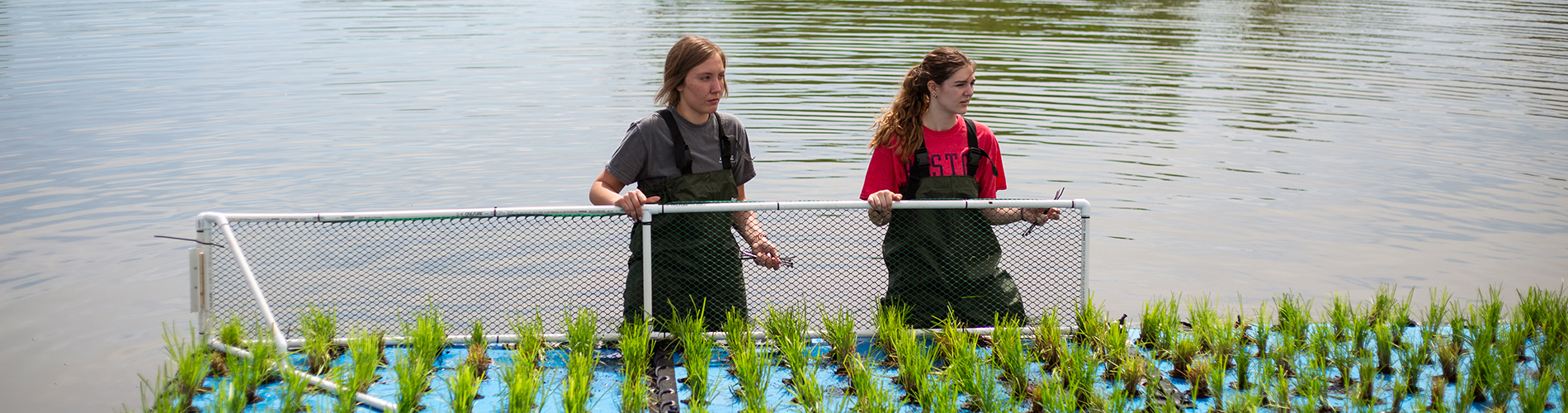 Constructing Floating Wetland