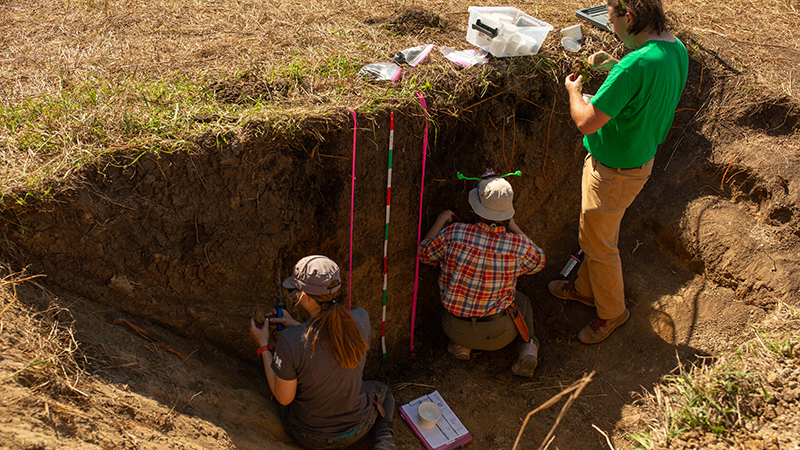 Soil Pit