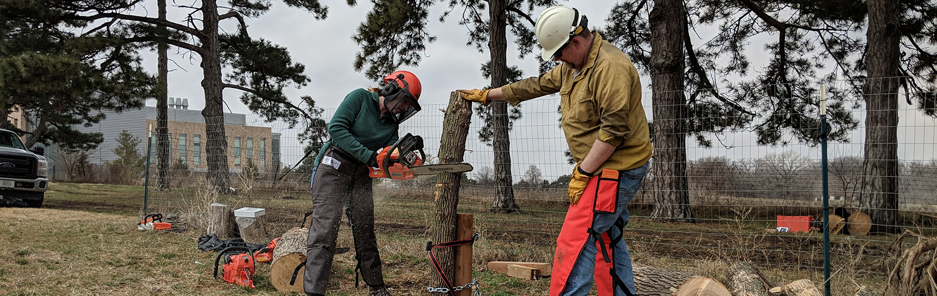 Chainsaw Class