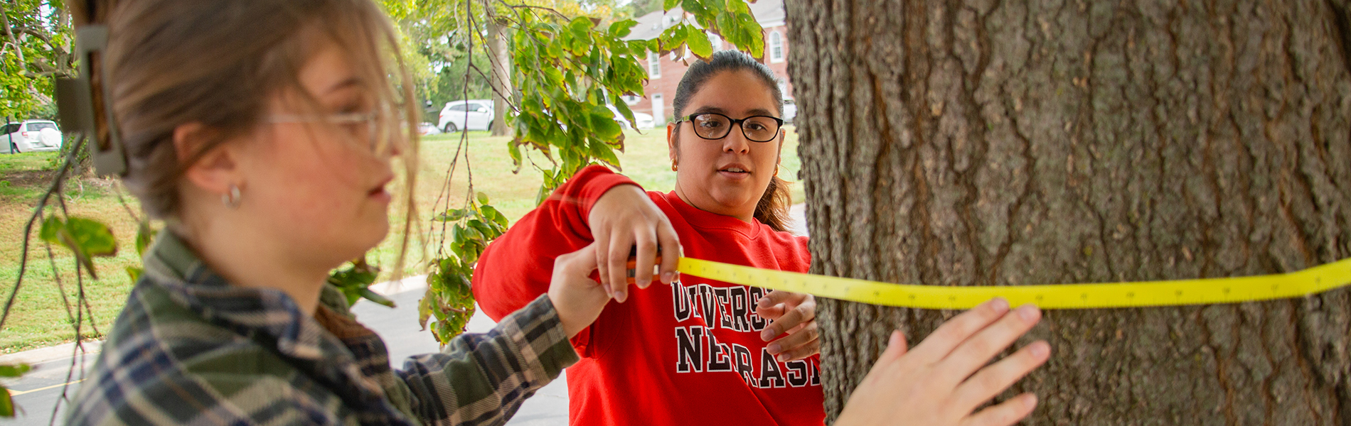 Measuring tree diameter