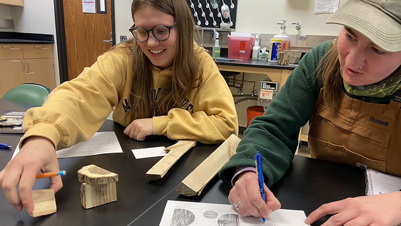 Tree Lab Class