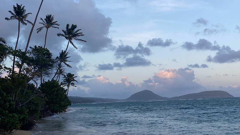 Beach View
