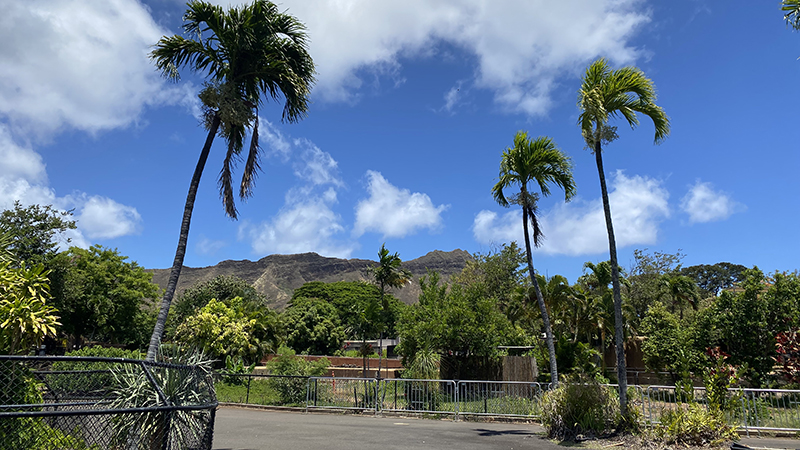 Zoo Grounds
